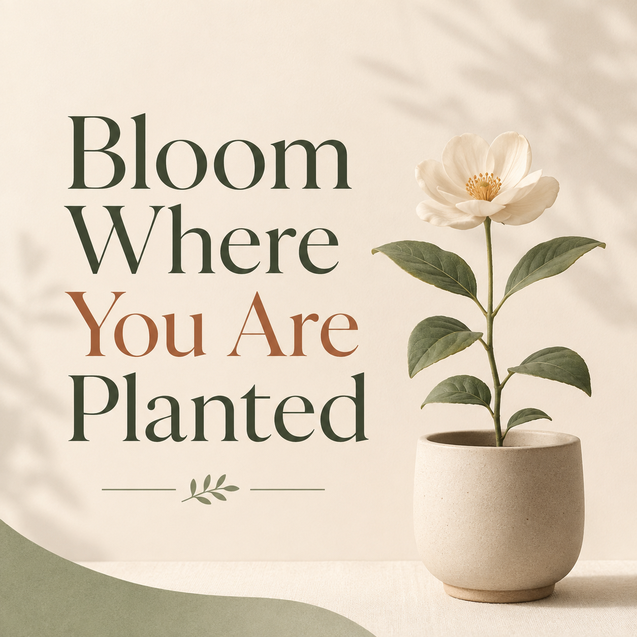 Bloom Where You Are Planted visual